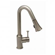 American Standard Canada 4332300.002 - Pekoe® Single-Handle Pull-Down Dual-Spray Kitchen Faucet 2.2 gpm/8.3 L/min