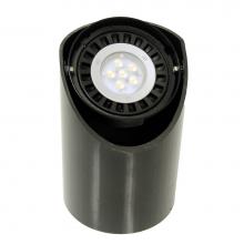 Focus Industries SL01L88 - 10W LED PAR36 40 Degrees, ABS WELL LIGHT,