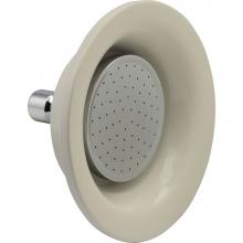 Maidstone 127-1SS-1 - Sunflower Showerhead