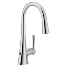 Moen Canada 9126EWC - Kitchen Pulldown Ms Wave
