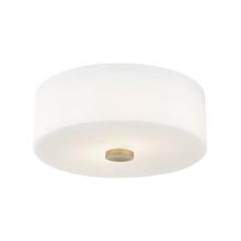 Mitzi H146502-AGB - 2 LIGHT FLUSH