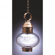 Northeast Lantern 2042-VG-MED-CLR - Onion Hanging No Cage Verdi Gris Medium Base Socket Clear Glass