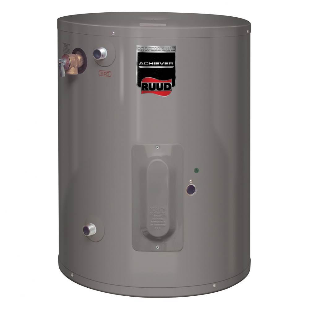 RESIDENTIAL ELECTRIC WATER HEATERS, PROFESSIONAL ACHIEVER SERIES: POINT-OF-USE