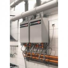Rheem 690414 - Tankless Gas Water Heater
