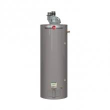 Rheem 622392 - Professional Classic Plus Power Direct Vent 50 Gallon Natural Gas Water Heater with 8 Year Limited