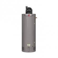 Rheem 636221 - Professional Classic Plus Heavy Duty Power Vent 75 Gallon Propane Gas Water Heater with 8 Year Lim