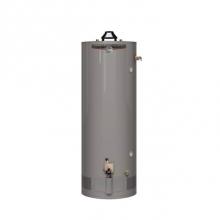 Rheem 644769 - Performance Platinum High Demand 75 Gallon Natural Gas Water Heater with 12 Year Limited Warranty