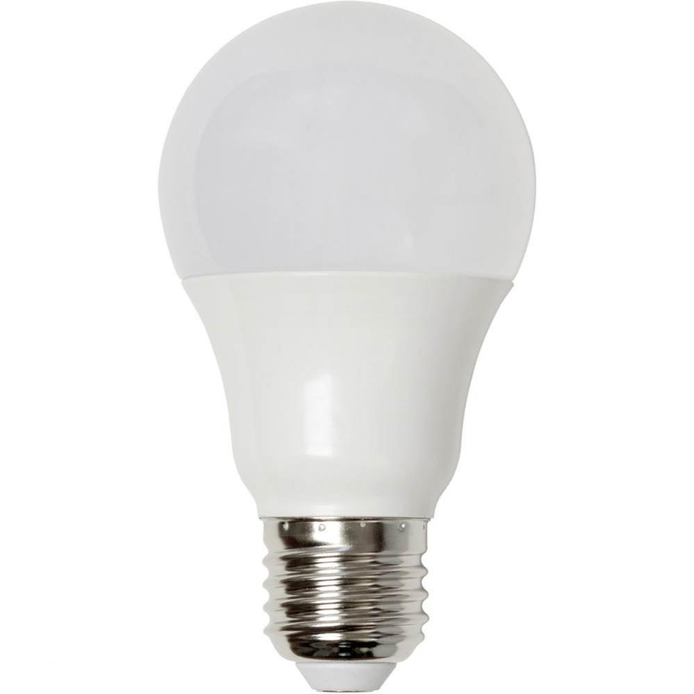 Light Bulb