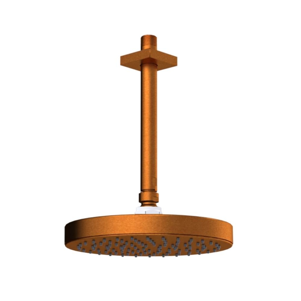 8'' Ceiling Mount Shower Head with Shower Arm & Flange