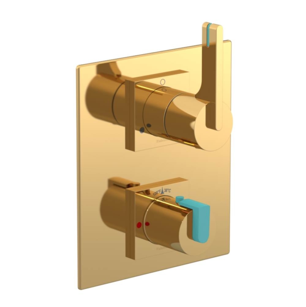 Temperature Control Valve with Stops & Two Way Diverter with Shut-Off (Trim Only)