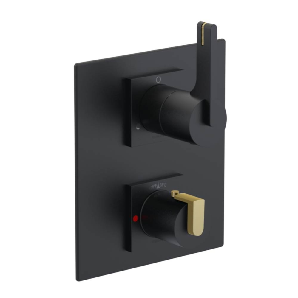 Temperature Control Valve with Stops & Two Way Diverter with Shut-Off (Trim Only)