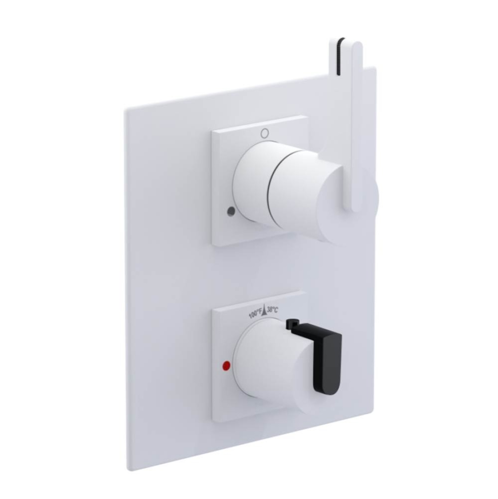 Temperature Control Valve with Stops & Two Way Diverter with Shut-Off (Trim Only)