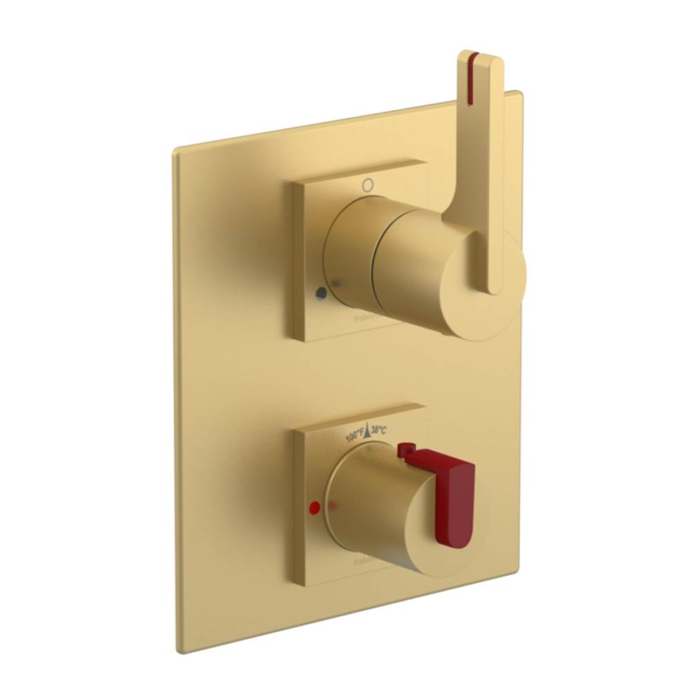 Temperature Control Valve with Stops & Two Way Diverter with Shut-Off (Trim Only)