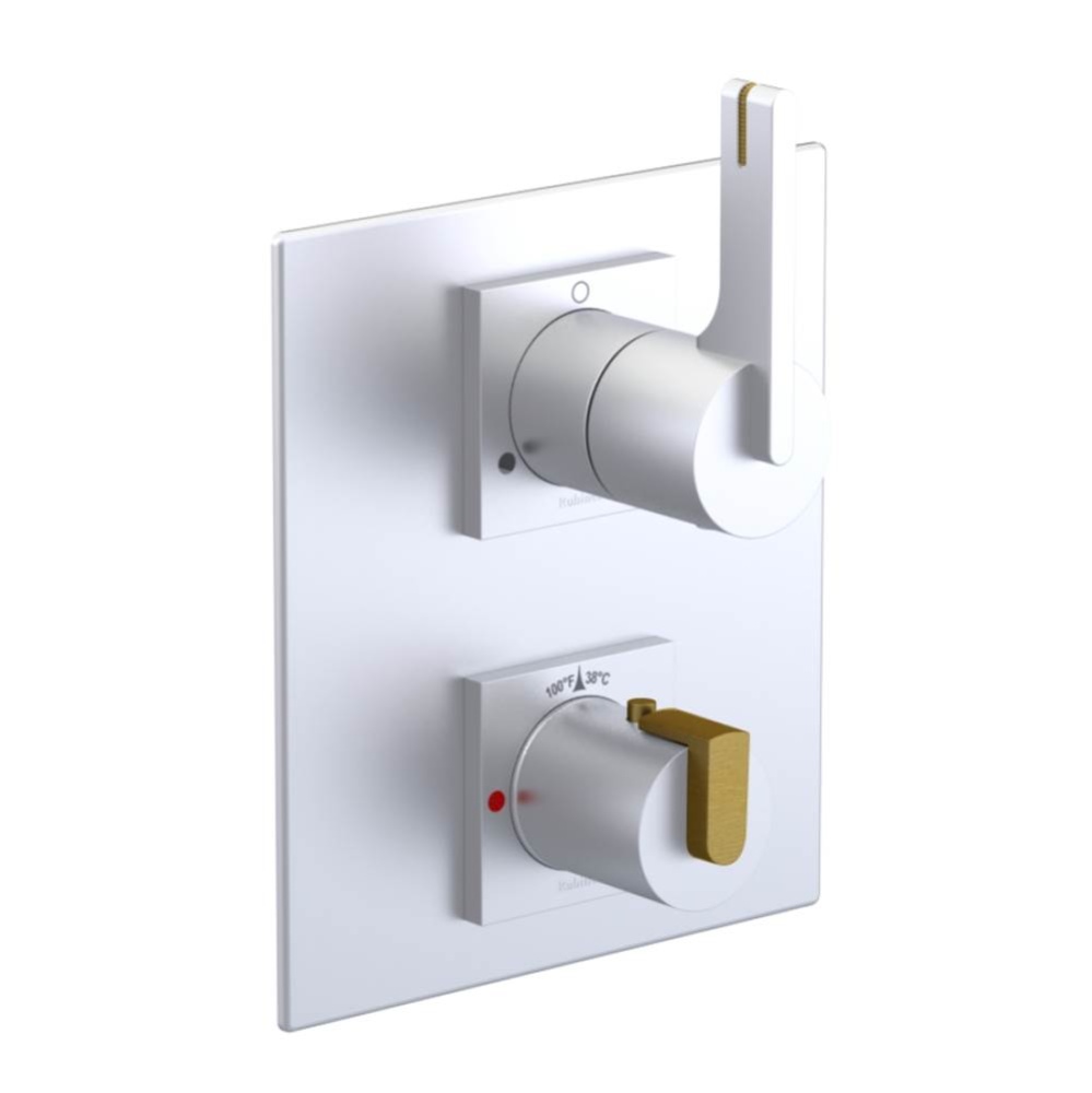 Temperature Control Valve with Stops & Two Way Diverter with Shut-Off (Trim Only)