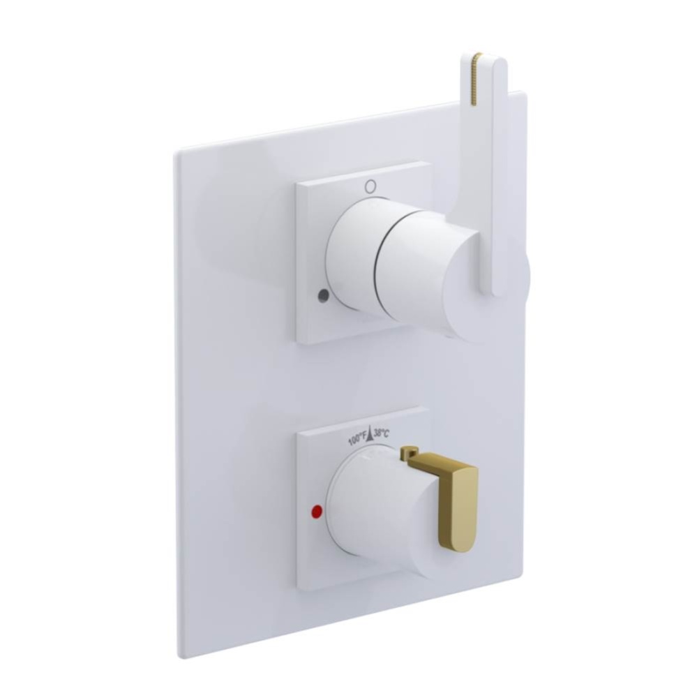 Temperature Control Valve with Stops & Two Way Diverter with Shut-Off (Trim Only)