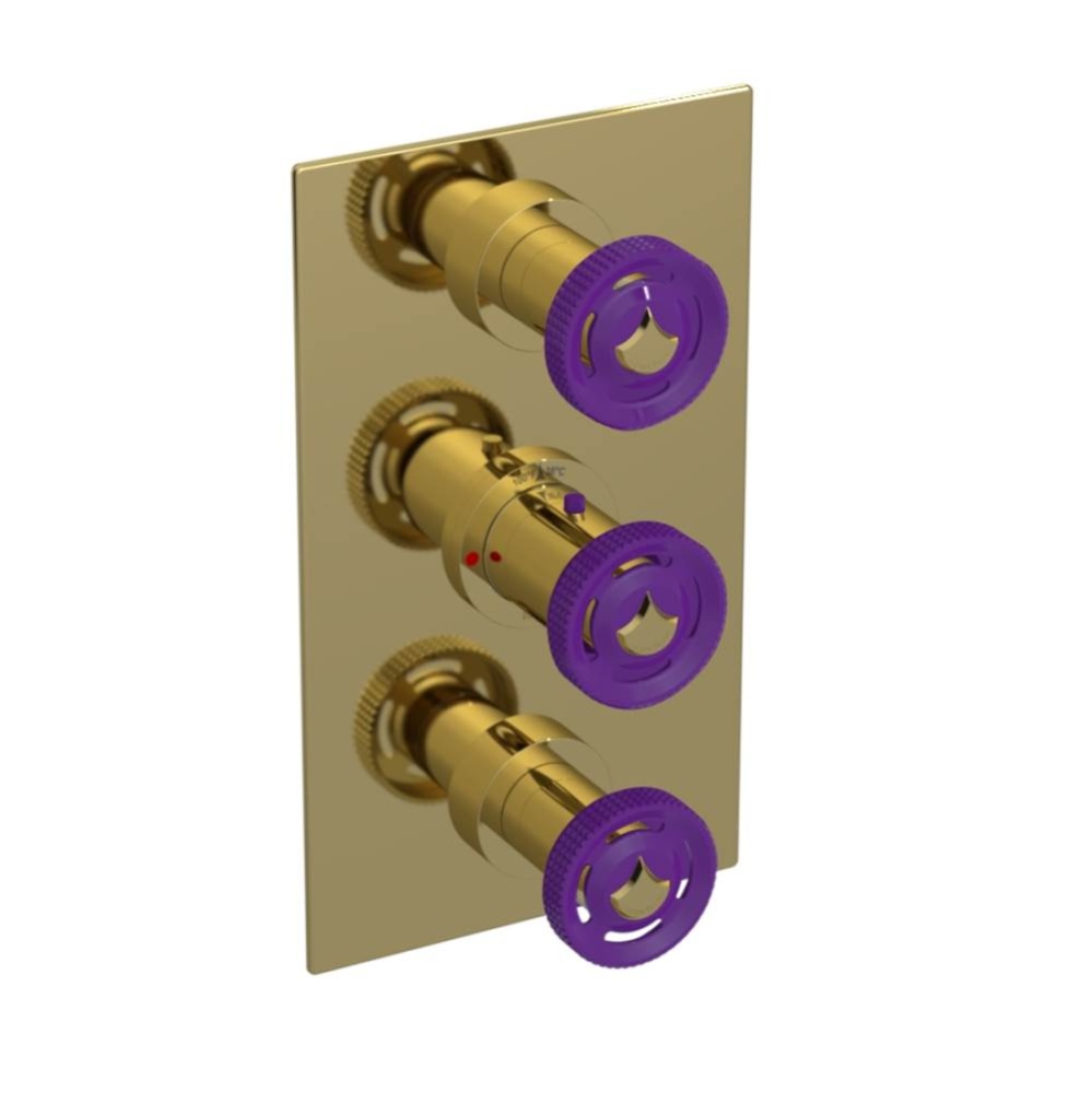 Temperature Control Valve with Stops & Two Volume Controls  (Trim Only)