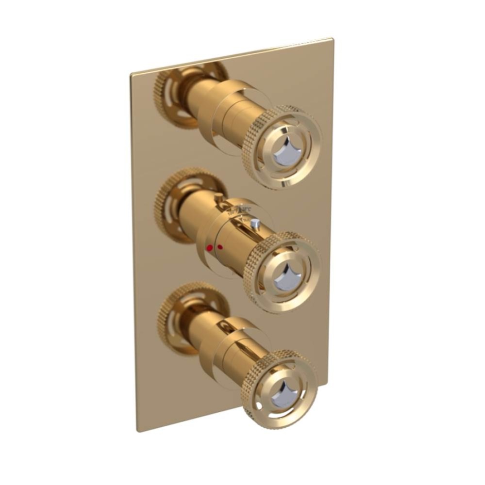 Temperature Control Valve with Stops & Two Volume Controls  (Trim Only)