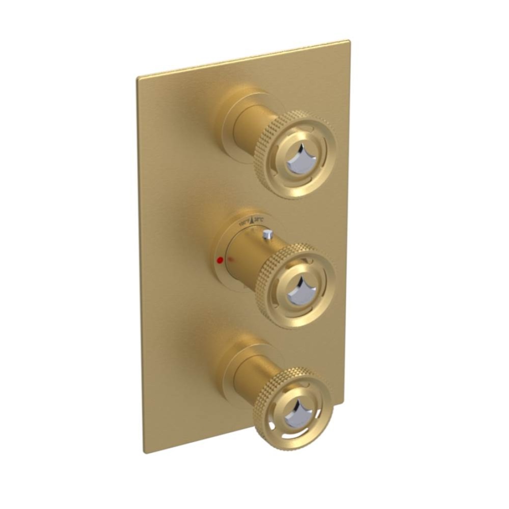 Temperature Control Valve with Stops & Two Volume Controls  (Trim Only)