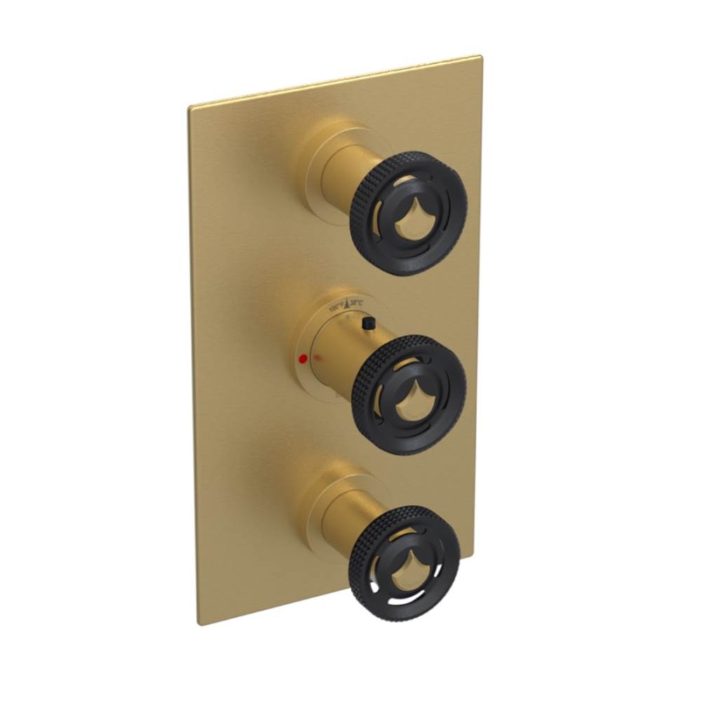 Temperature Control Valve with Stops & Two Volume Controls  (Trim Only)