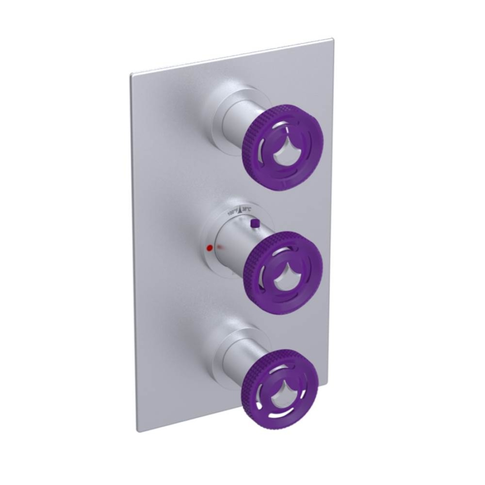 Temperature Control Valve with Stops & Two Volume Controls  (Trim Only)