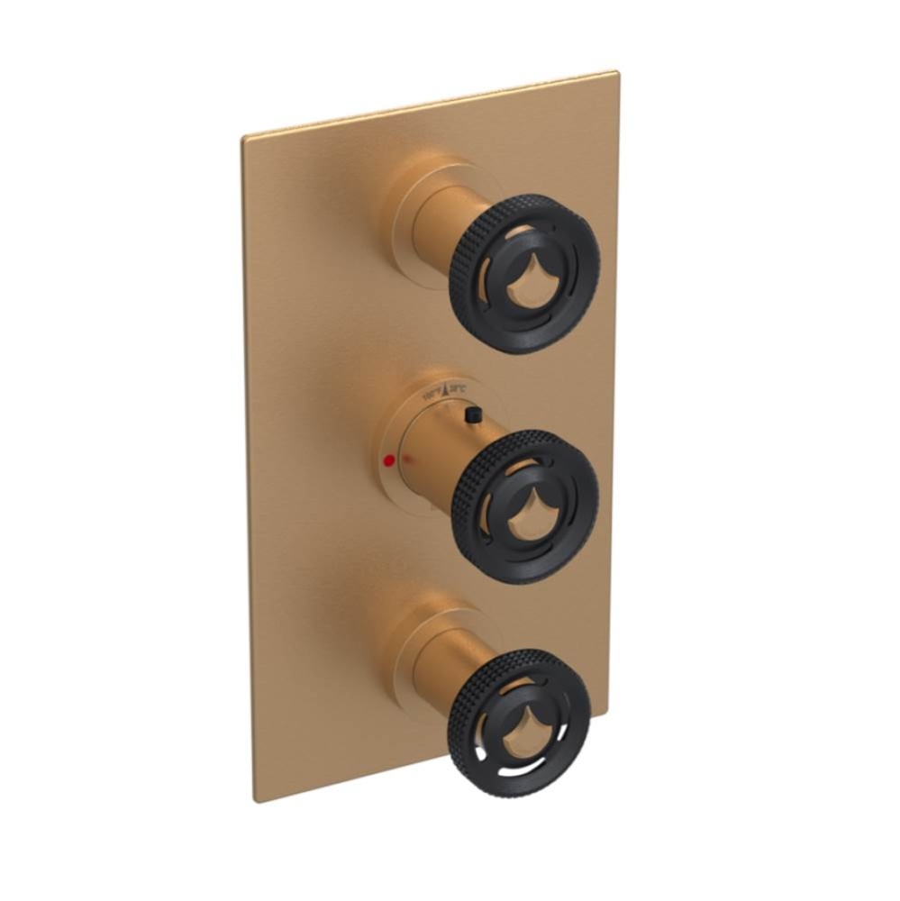 Temperature Control Valve with Stops & Two Volume Controls  (Trim Only)