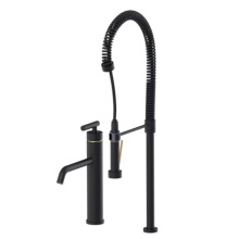 Rubinet Canada 8IGNLMBSG - Single Control Kitchen Set with Industrial Spray