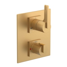 Rubinet Canada T2QRTLSGGD - Temperature Control Valve with Stops & Two Way Diverter with Shut-Off (Trim Only)