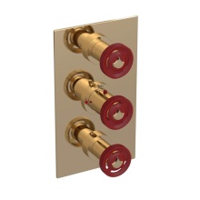 Rubinet Canada T4SLARGDMR - Temperature Control Valve with Stops & Two Volume Controls  (Trim Only)