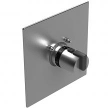 Rubinet Canada T4MRT0CHPH - Trim Temperature Control Valve