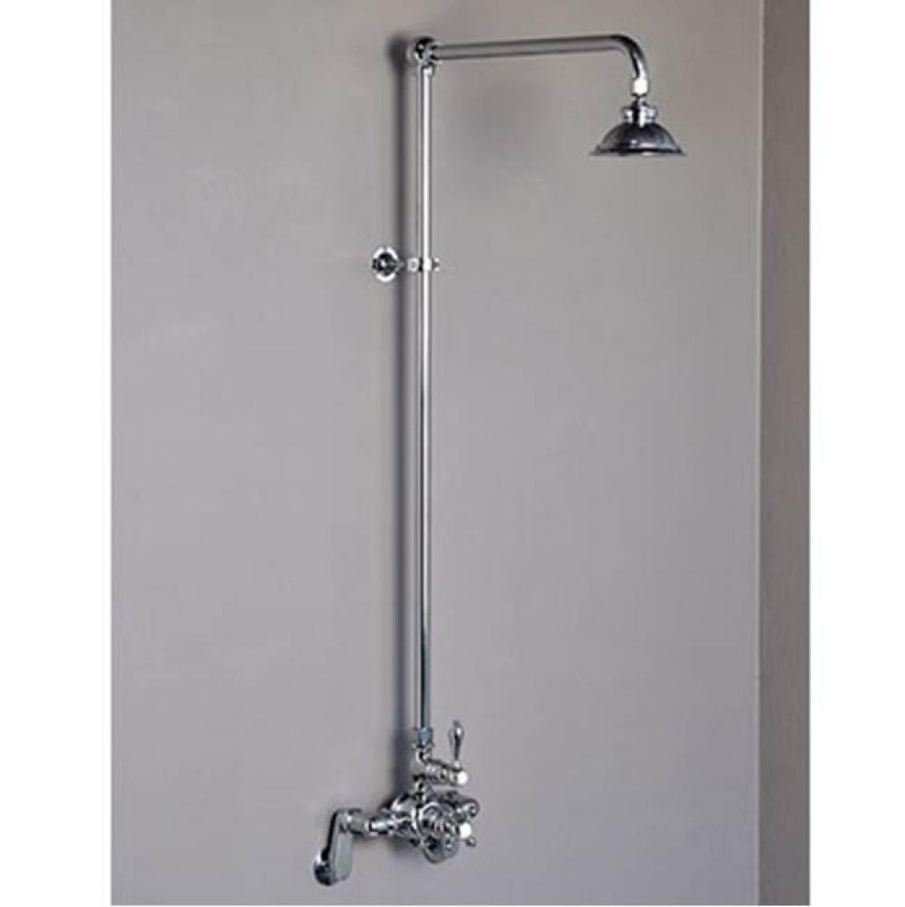 Exposed Showers Polished Nickel