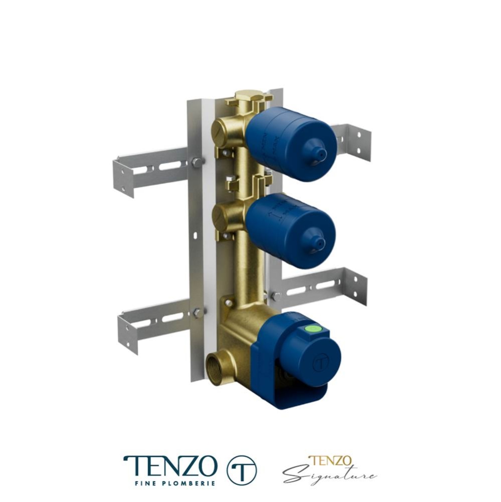 Extenza rough-in thermo. 2 functions