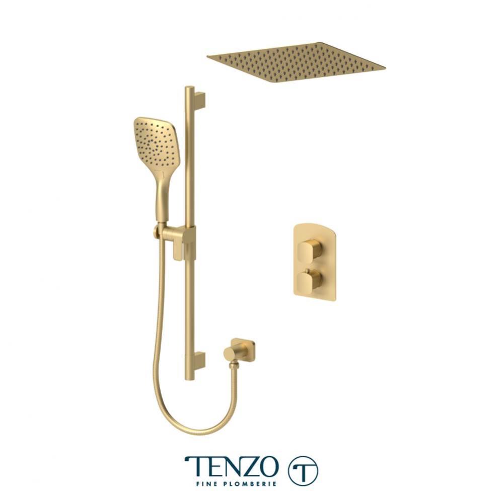 Trim for Delano T-Box kit 2 functions pres bal brushed gold finish
