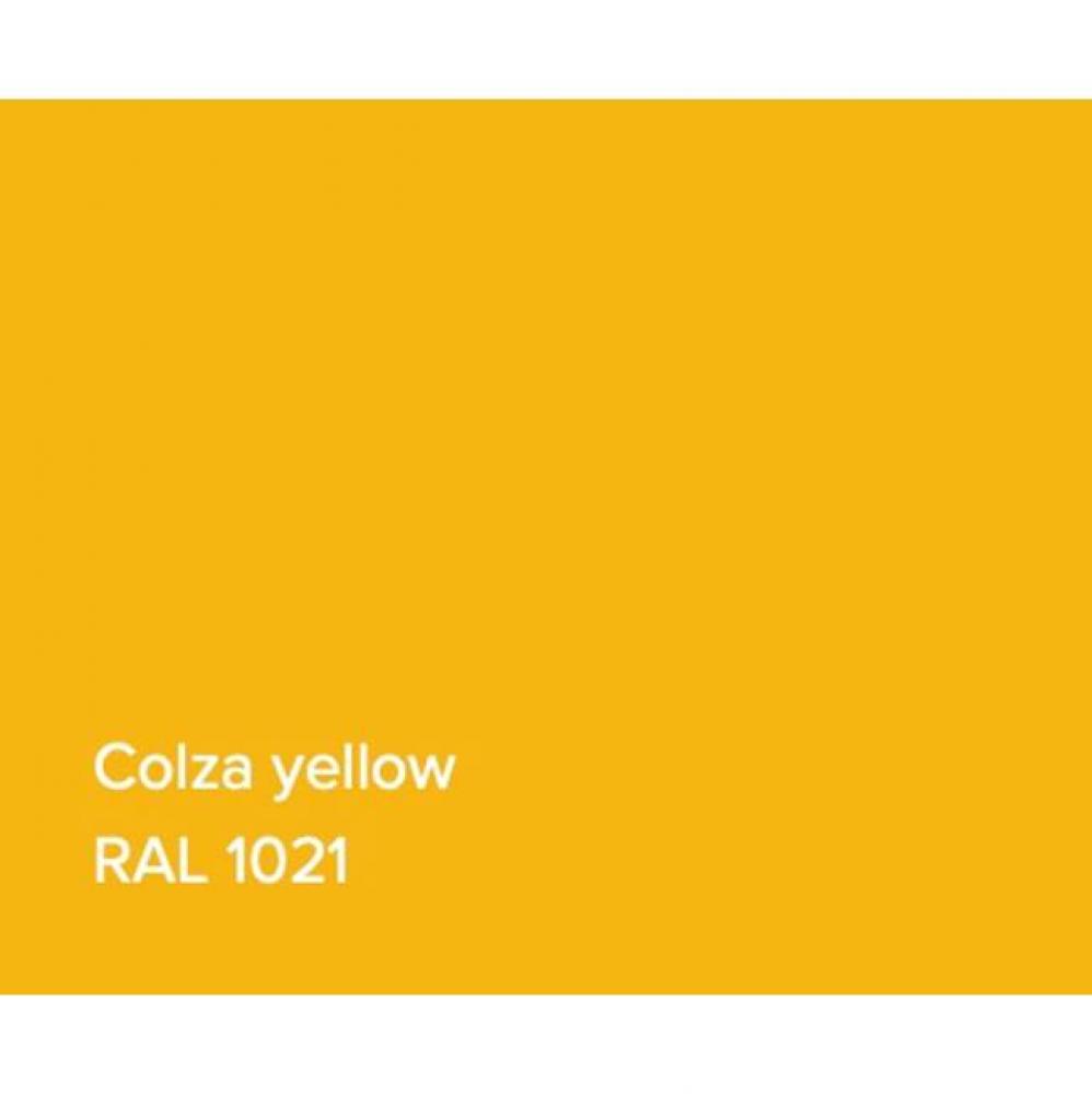 RAL Basin Colza Yellow Matte
