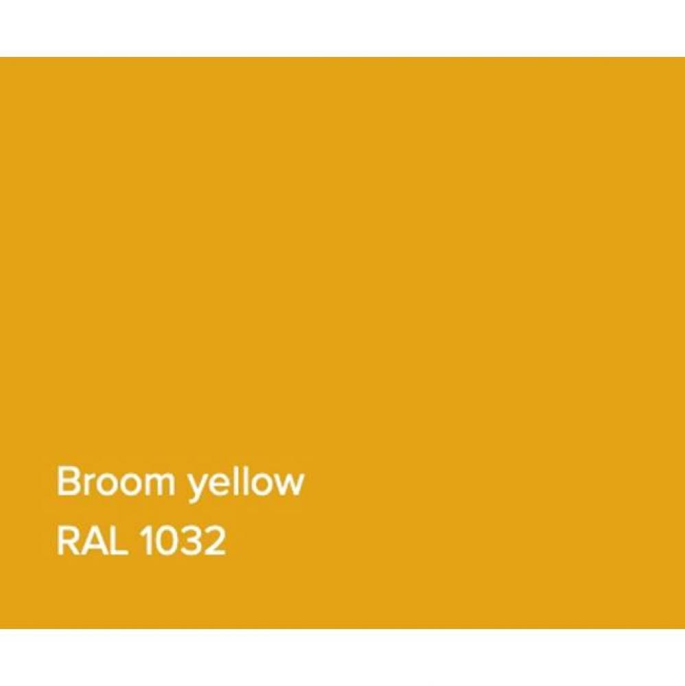 RAL Basin Broom Yellow Matte