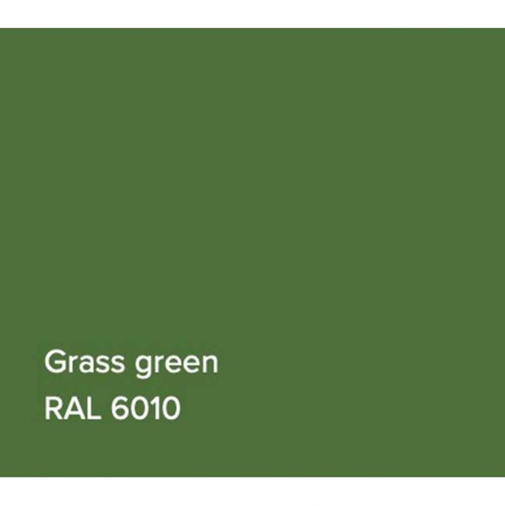 RAL Basin Grass Green Matte