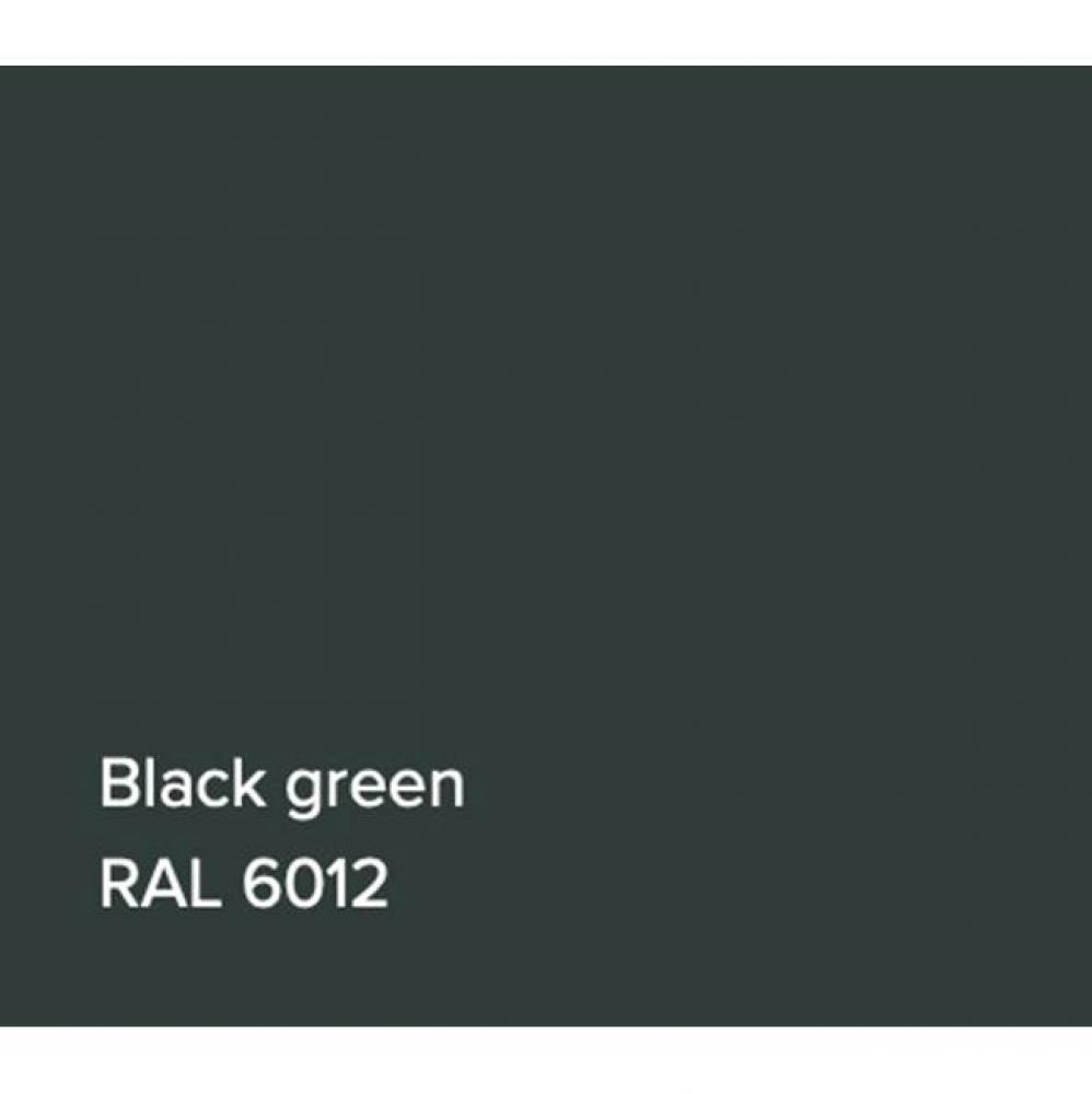 RAL Bathtub Black Green Gloss