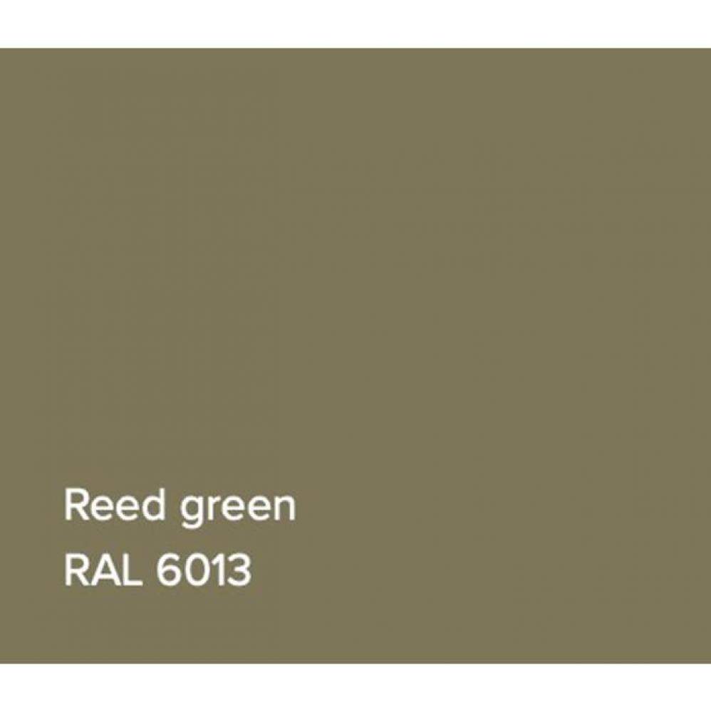 RAL Bathtub Reed Green Gloss