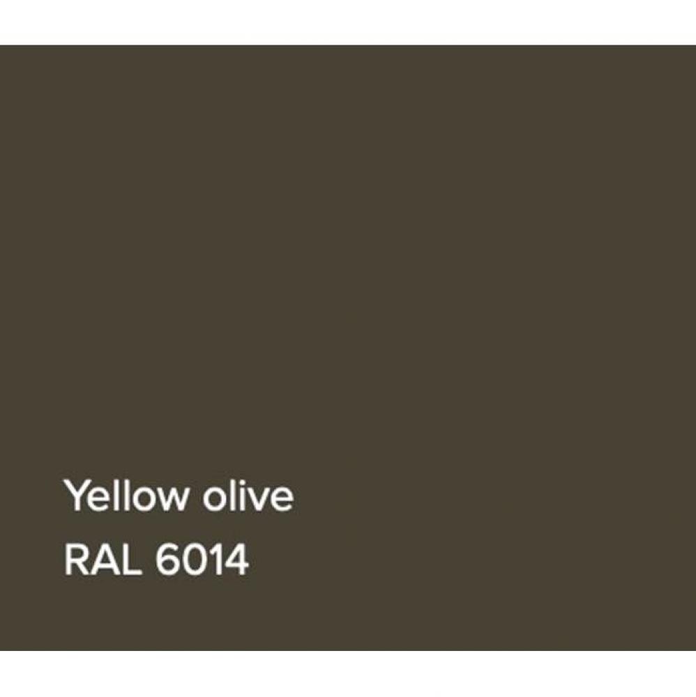RAL Basin Yellow Olive Gloss