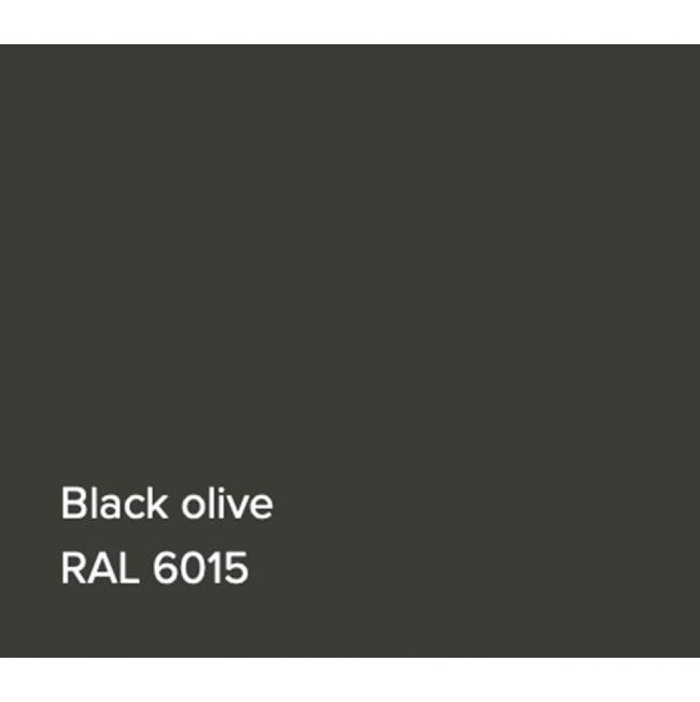 RAL Bathtub Black Olive Gloss