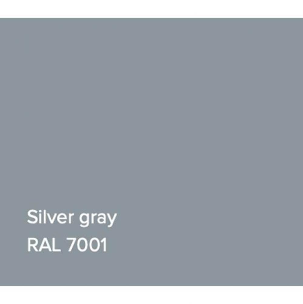 RAL Basin Silver Grey Gloss