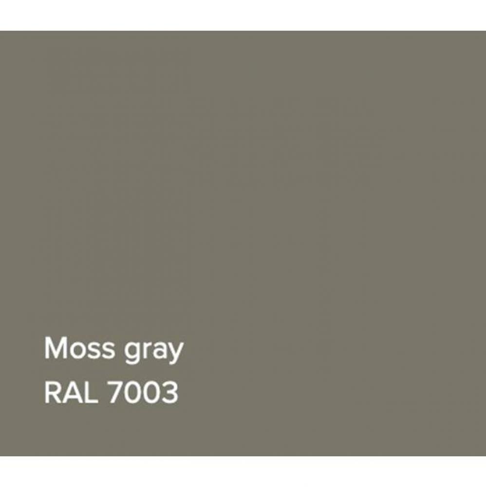 RAL Basin Moss Grey Matte