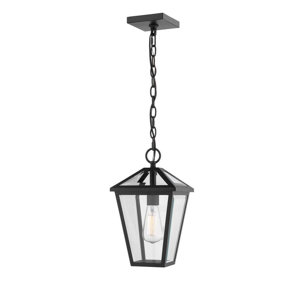 1 Light Outdoor Chain Mount Ceiling