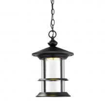 Z-Lite 552CHM-BK-LED - Outdoor LED Chain Hung