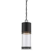 Z-Lite 553CHB-ORBZ-LED - Outdoor LED Chain Hung