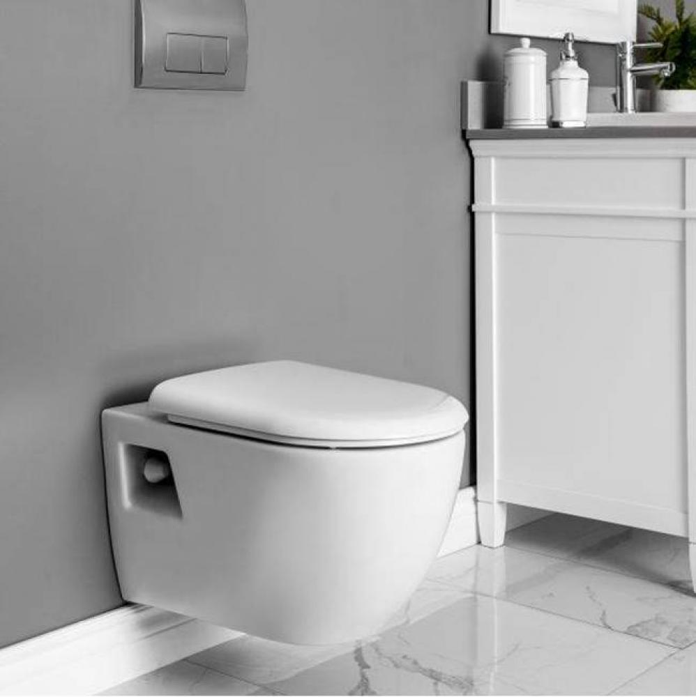 6.0 / 3.0L dual flush wall mounted toilet, soft close seat, includes recessed tank
