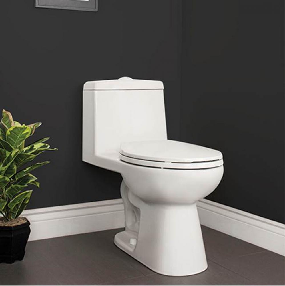 4.8 / 3.0 L dual flush toilet, elongated bowl, 15.5'' high, tank not insulated(does not