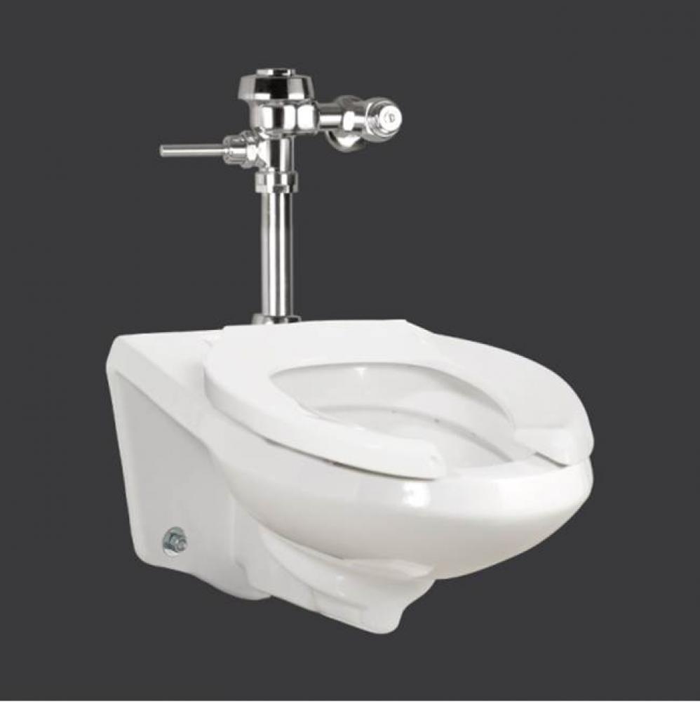 4.8 L high efficiency wall mount toilet, water inlet from