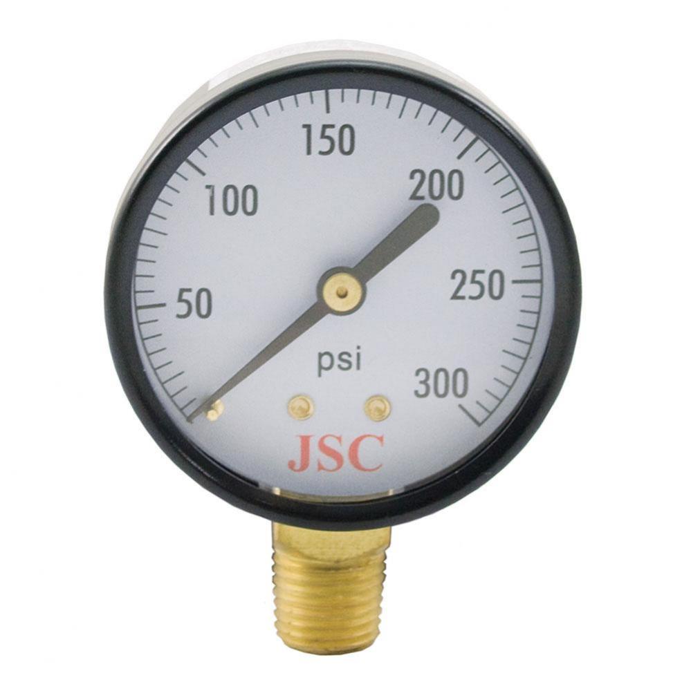 300 PSI Pressure Gauge, 2'' Face