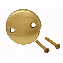 Jones Stephens T08013 - Polished Brass Two-Hole Overflow Plate with Screws